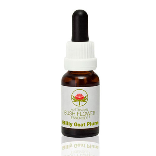 Billy Goat Plum