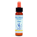 Wild Rose